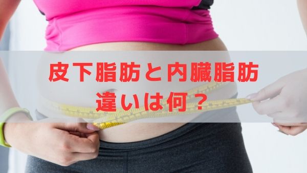 皮下脂肪と内臓脂肪の違いを気にする女性